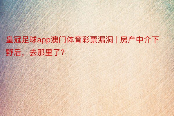 皇冠足球app澳门体育彩票漏洞 | 房产中介下野后，去那里了？