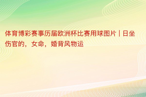 体育博彩赛事历届欧洲杯比赛用球图片 | 日坐伤官的，女命，婚背风物运