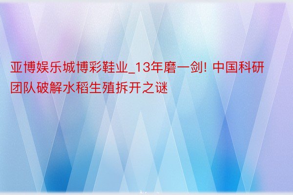 亚博娱乐城博彩鞋业_13年磨一剑! 中国科研团队破解水稻生殖拆开之谜