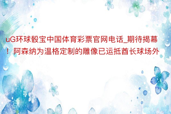 uG环球骰宝中国体育彩票官网电话_期待揭幕！阿森纳为温格定制的雕像已运抵酋长球场外