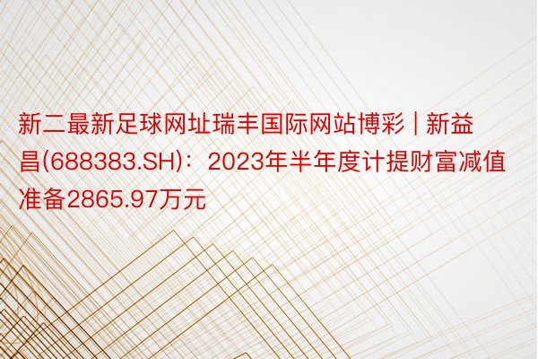 新二最新足球网址瑞丰国际网站博彩 | 新益昌(688383.SH)：2023年半年度计提财富减值准备2865.97万元