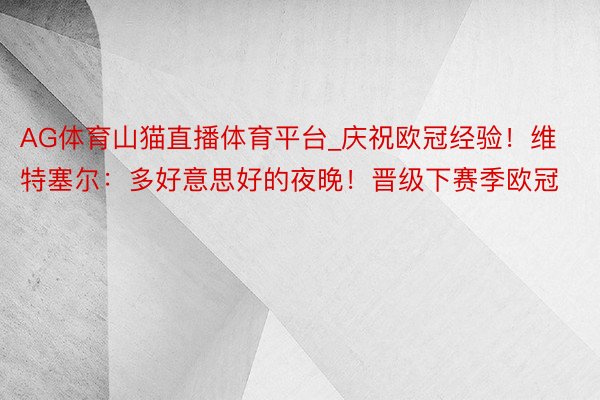 AG体育山猫直播体育平台_庆祝欧冠经验！维特塞尔：多好意思好的夜晚！晋级下赛季欧冠