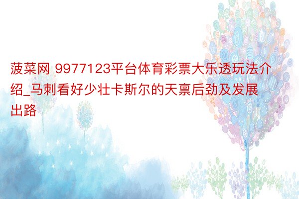 菠菜网 9977123平台体育彩票大乐透玩法介绍_马刺看好少壮卡斯尔的天禀后劲及发展出路