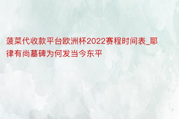 菠菜代收款平台欧洲杯2022赛程时间表_耶律有尚墓碑为何发当今东平